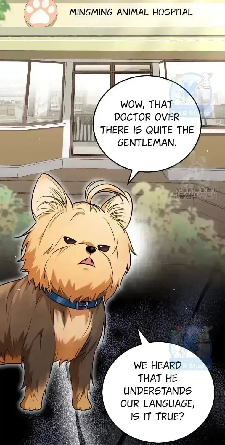 Hello, Mr. Veterinarian! Chapter 1.6 page 2 - 