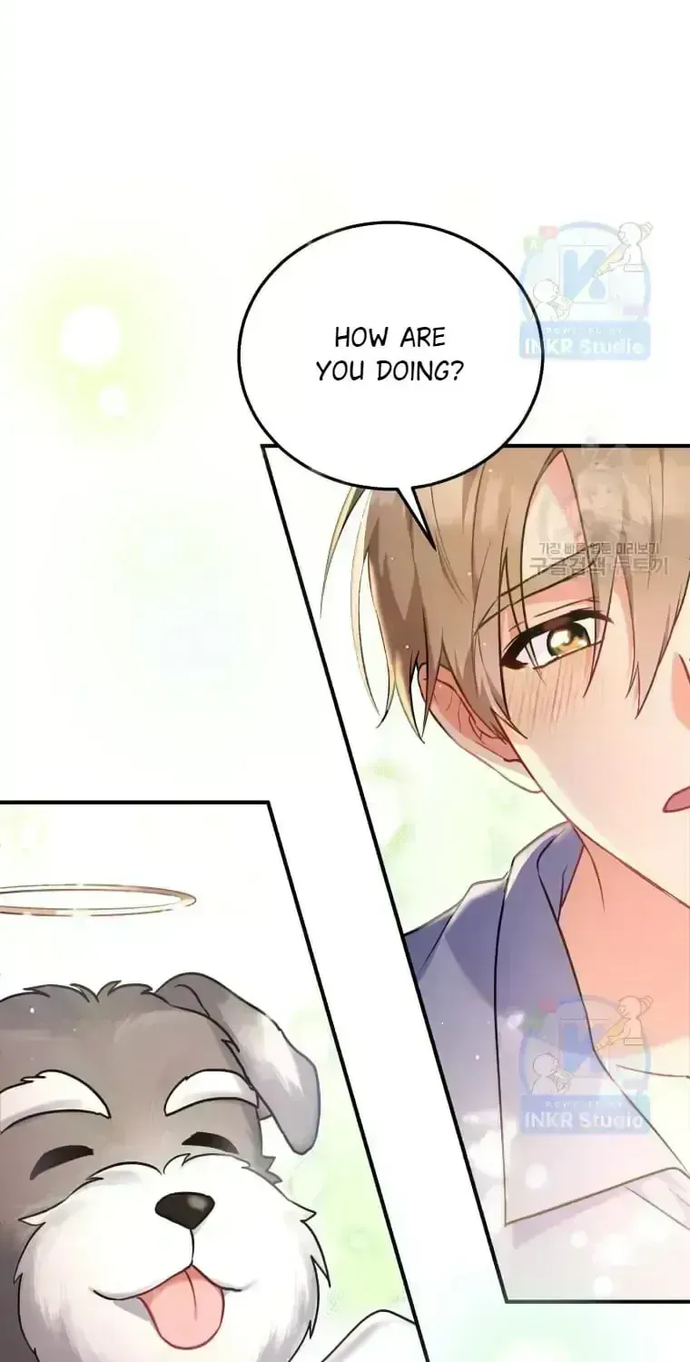 Hello, Mr. Veterinarian! Chapter 1.6 page 22 - 
