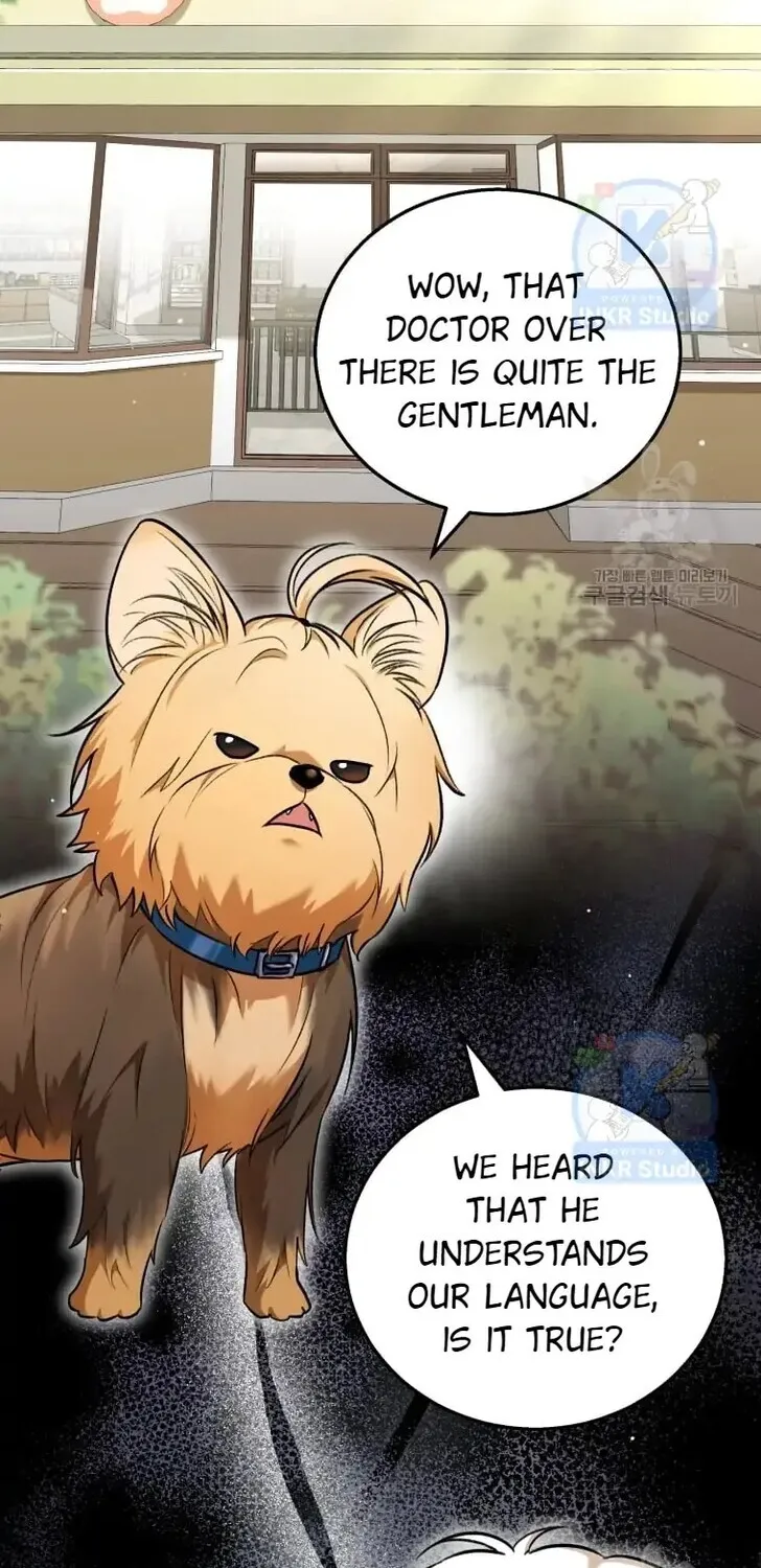 Read Hello, Mr. Veterinarian! chapter 1 image 1 on Lezhin