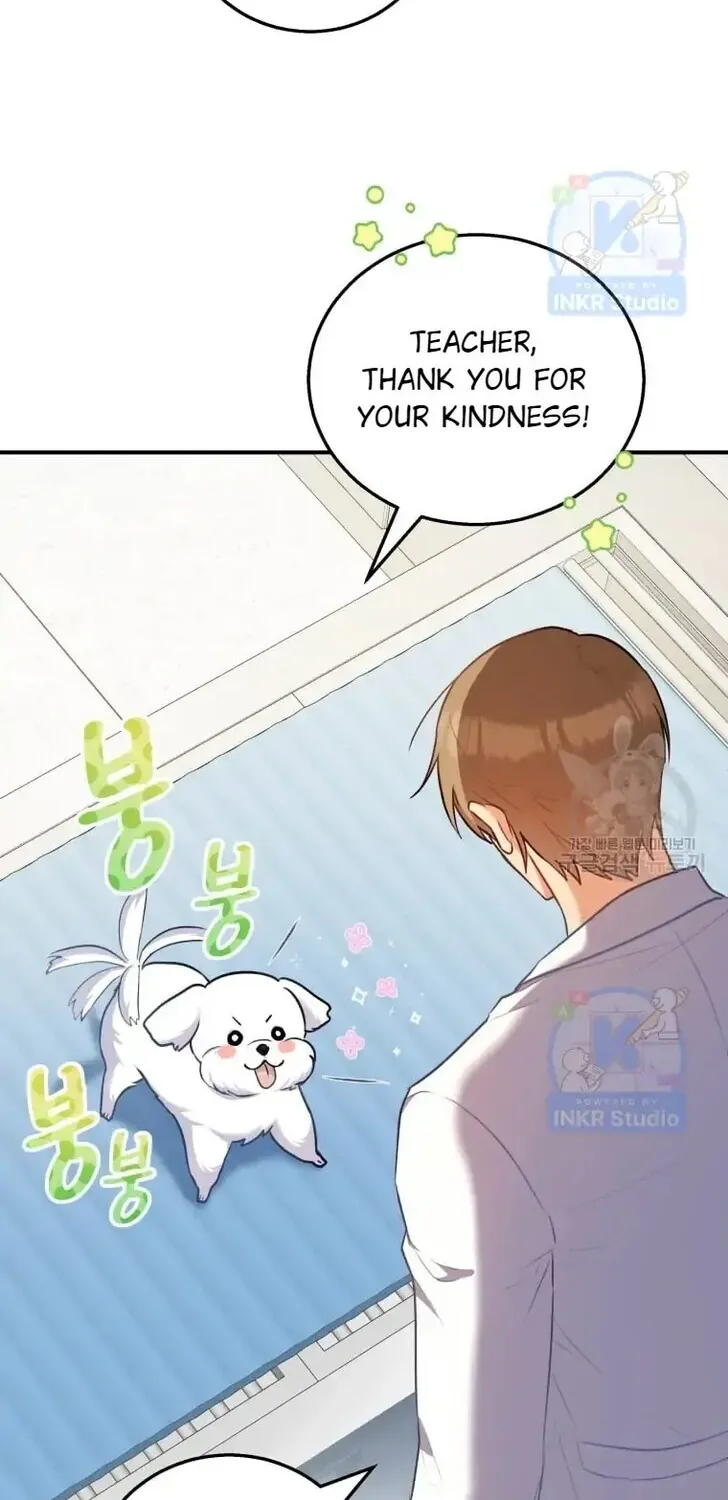 Read Hello, Mr. Veterinarian! chapter 1 image 101 on Lezhin