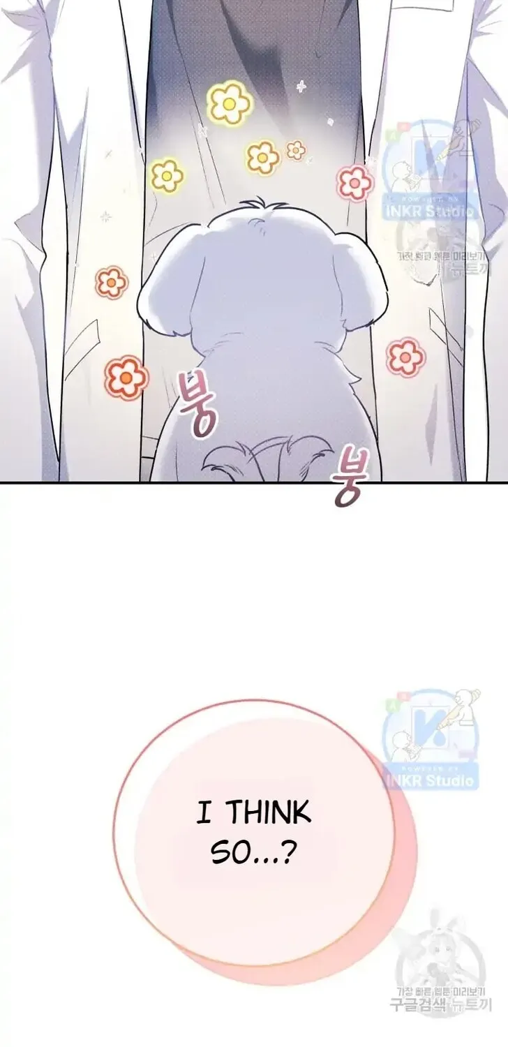 Read Hello, Mr. Veterinarian! chapter 1 image 107 on Lezhin