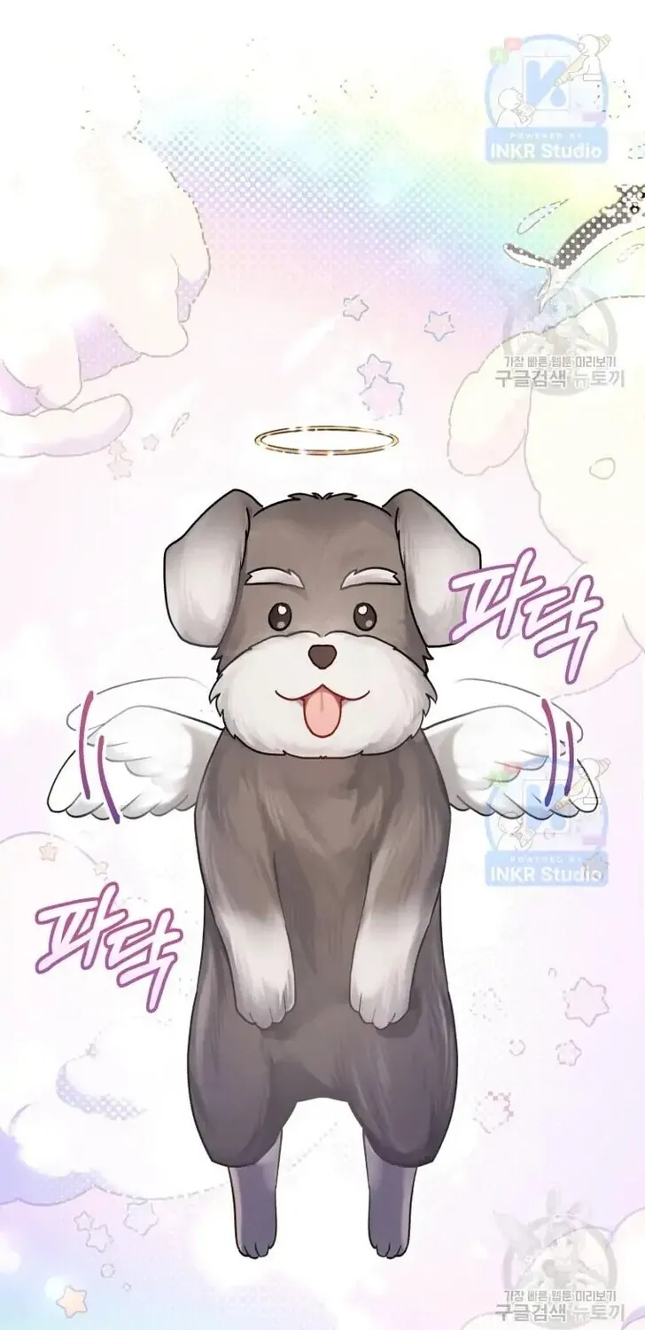 Read Hello, Mr. Veterinarian! chapter 1 image 16 on Lezhin