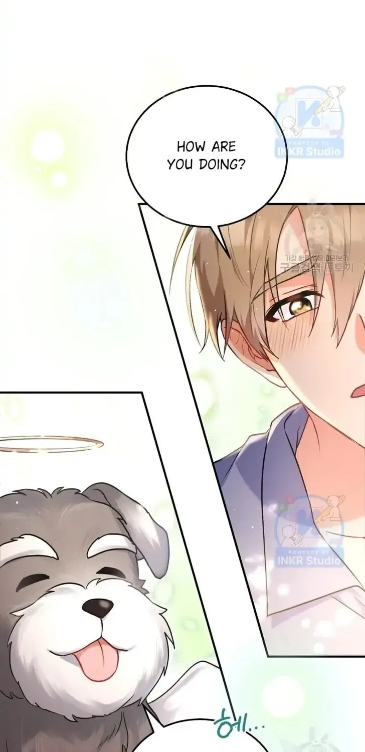 Read Hello, Mr. Veterinarian! chapter 1 image 19 on Lezhin