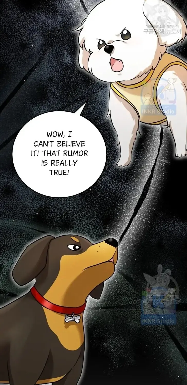 Read Hello, Mr. Veterinarian! chapter 1 image 2 on Lezhin