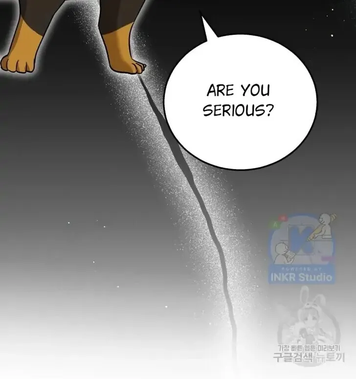 Read Hello, Mr. Veterinarian! chapter 1 image 3 on Lezhin