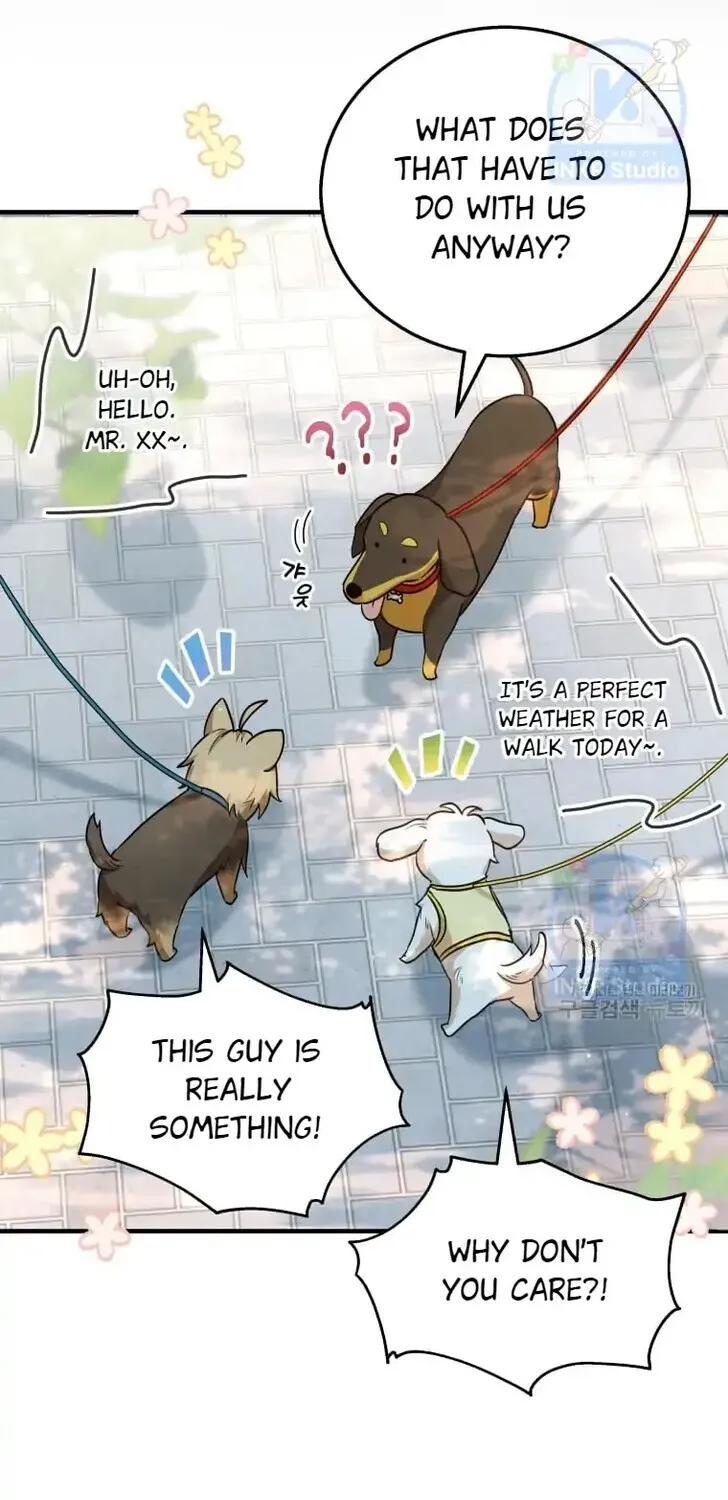 Read Hello, Mr. Veterinarian! chapter 1 image 4 on Lezhin