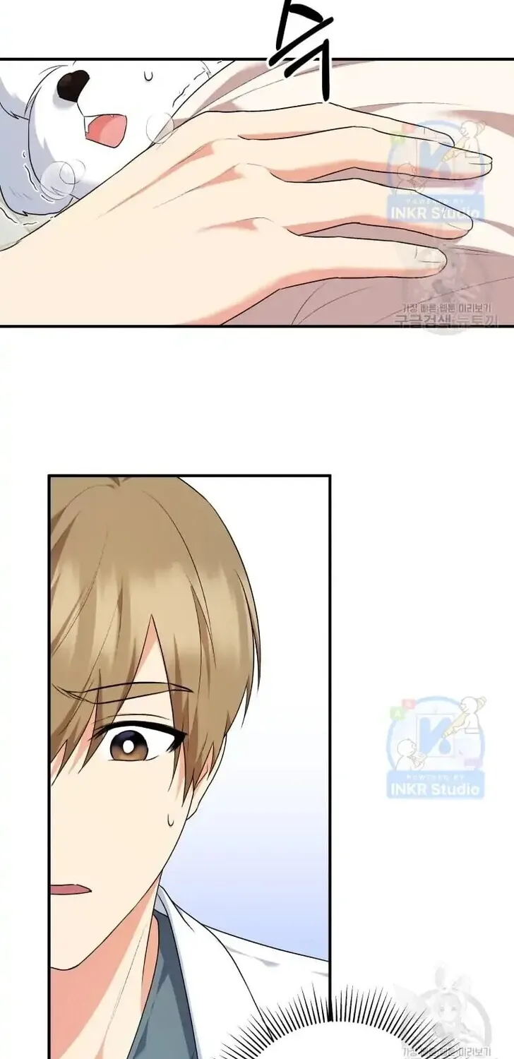 Read Hello, Mr. Veterinarian! chapter 1 image 65 on Lezhin