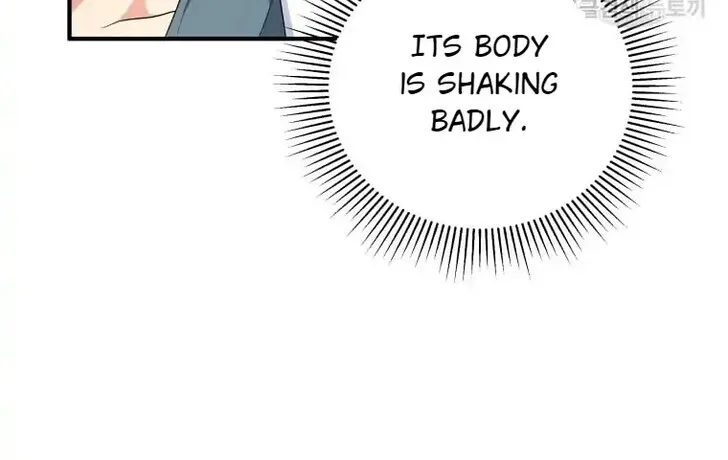Read Hello, Mr. Veterinarian! chapter 1 image 66 on Lezhin