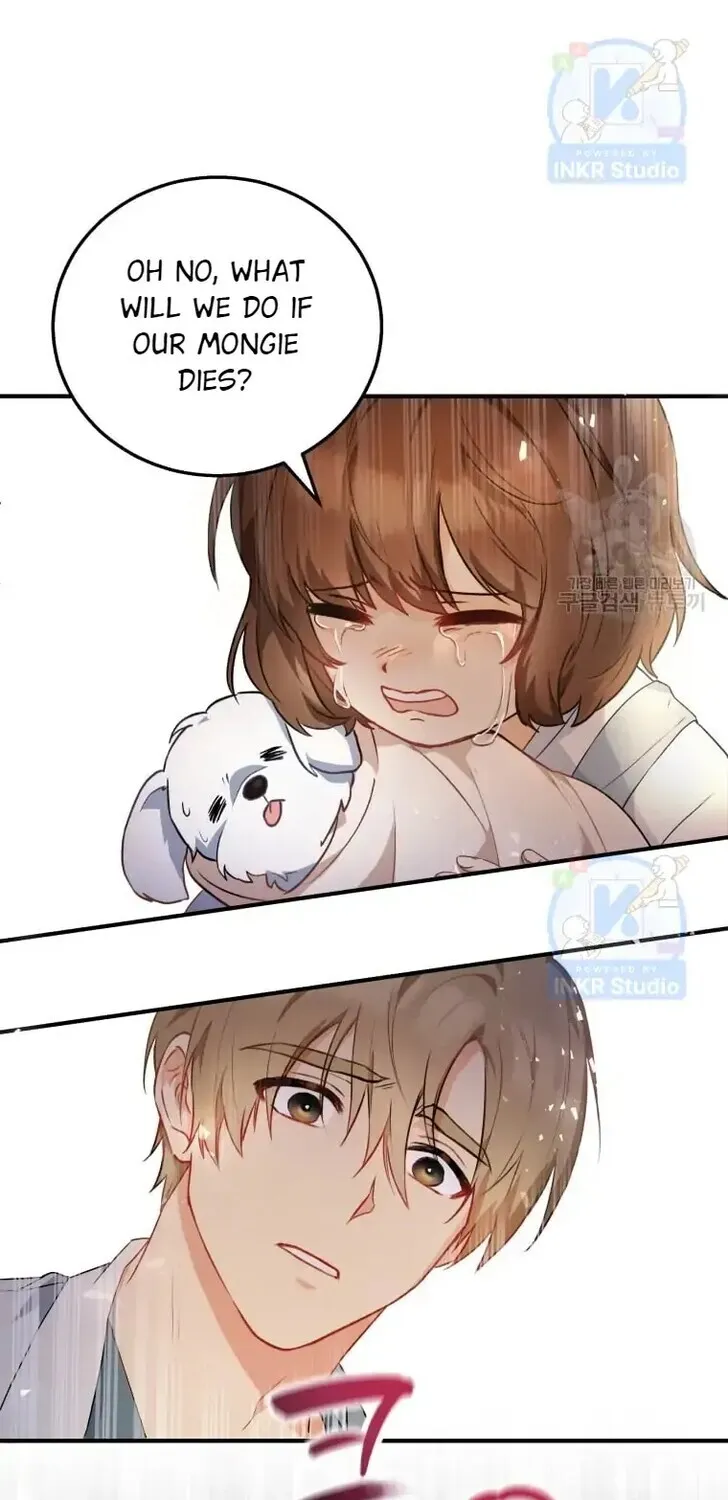 Read Hello, Mr. Veterinarian! chapter 1 image 67 on Lezhin