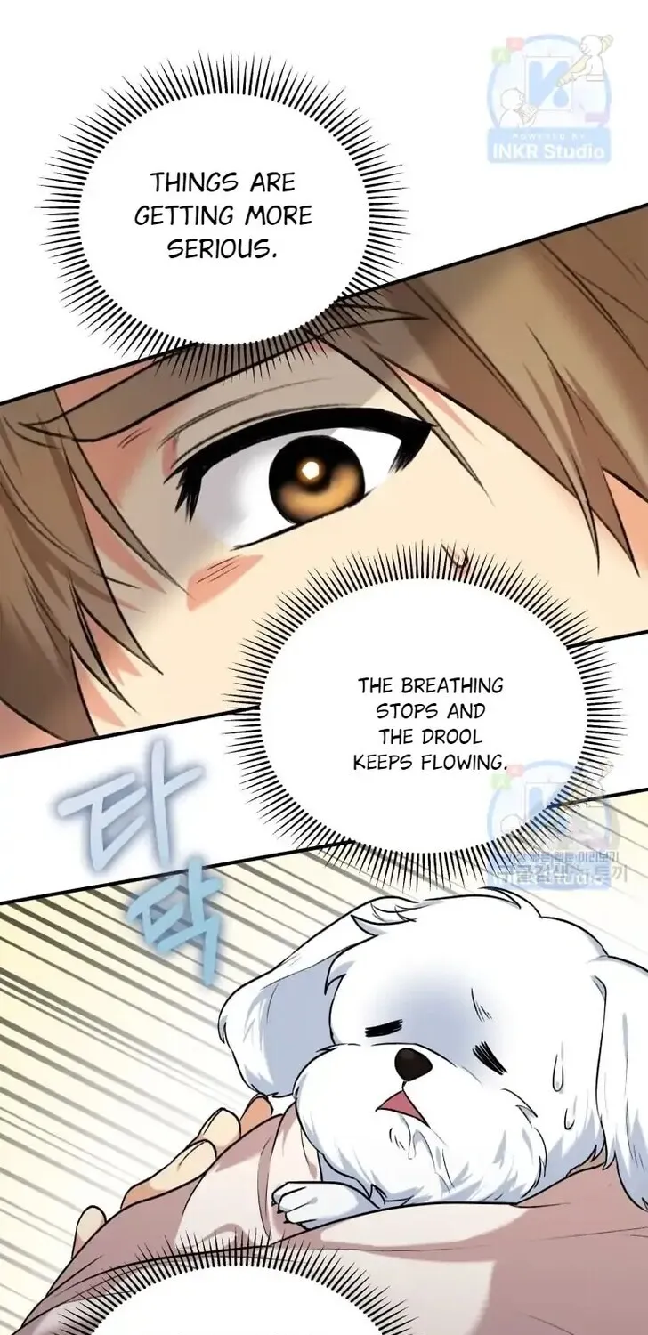 Read Hello, Mr. Veterinarian! chapter 1 image 72 on Lezhin