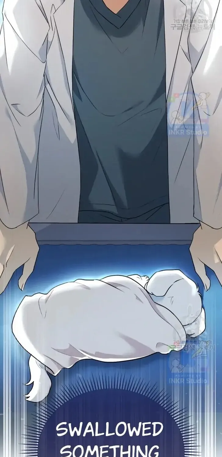 Read Hello, Mr. Veterinarian! chapter 1 image 74 on Lezhin