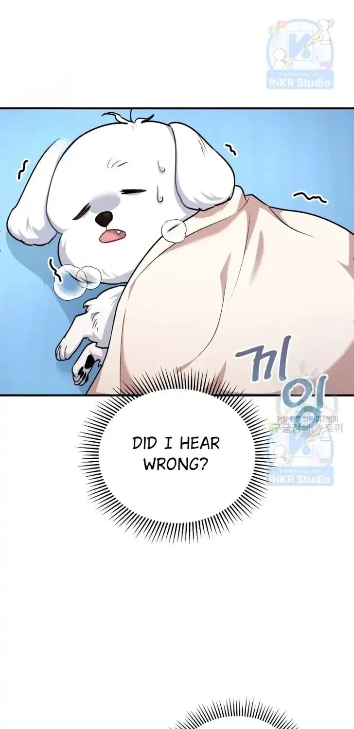 Read Hello, Mr. Veterinarian! chapter 1 image 83 on Lezhin