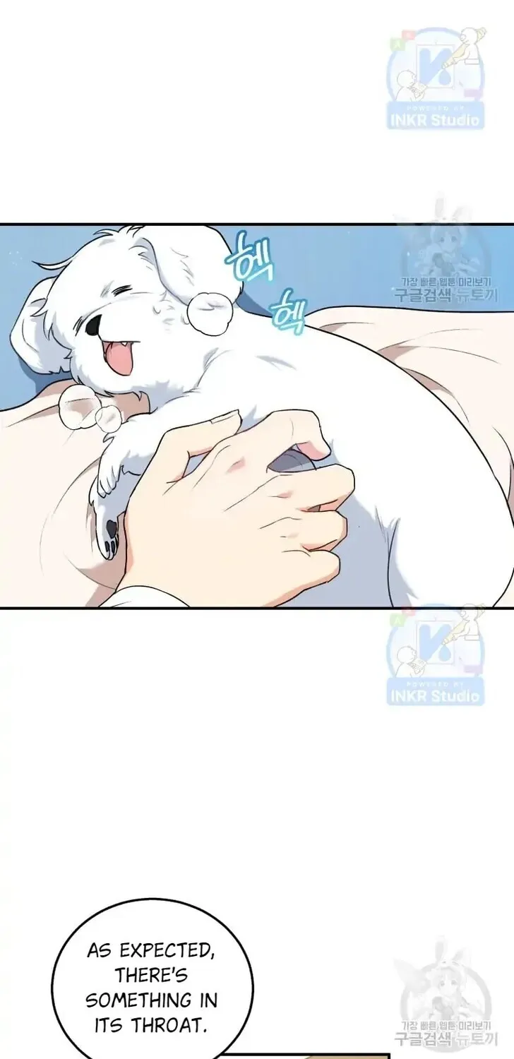 Read Hello, Mr. Veterinarian! chapter 1 image 86 on Lezhin