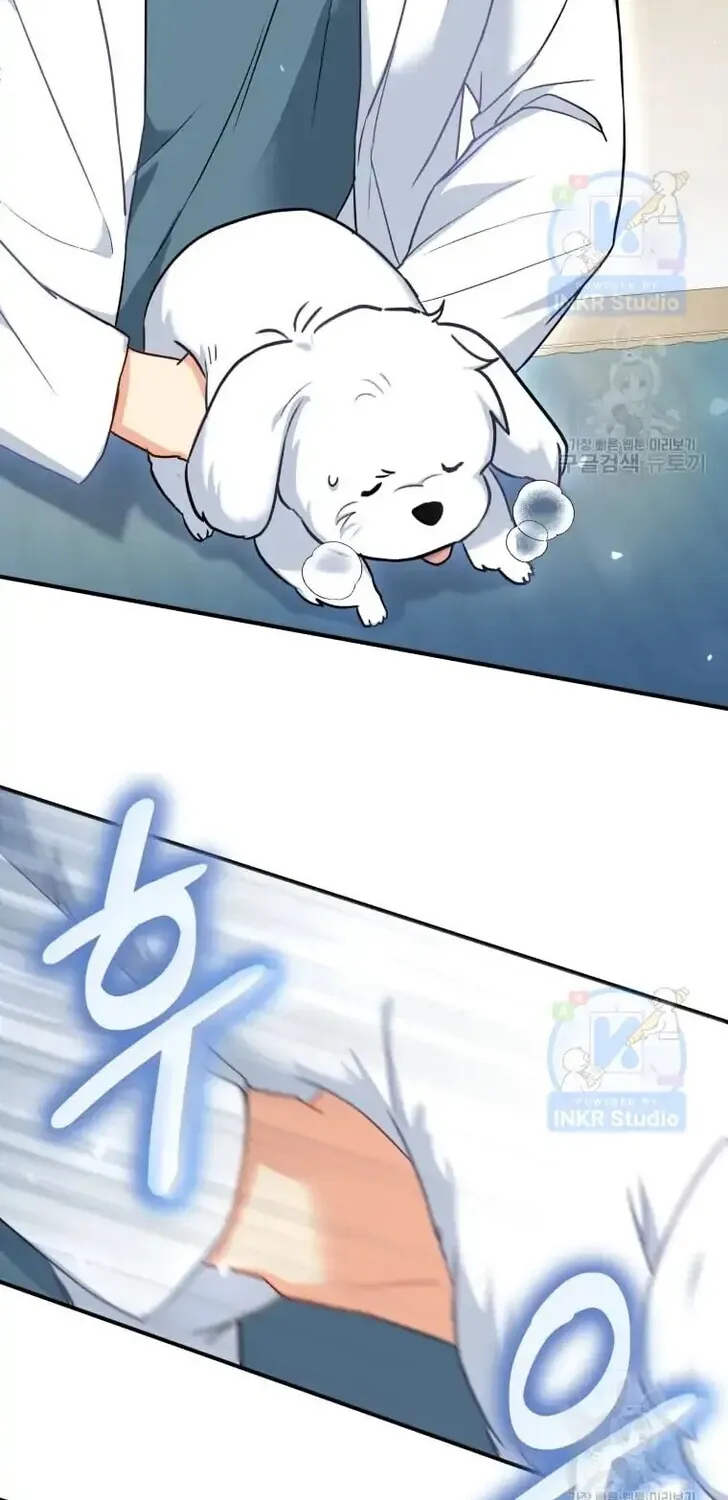 Read Hello, Mr. Veterinarian! chapter 1 image 89 on Lezhin
