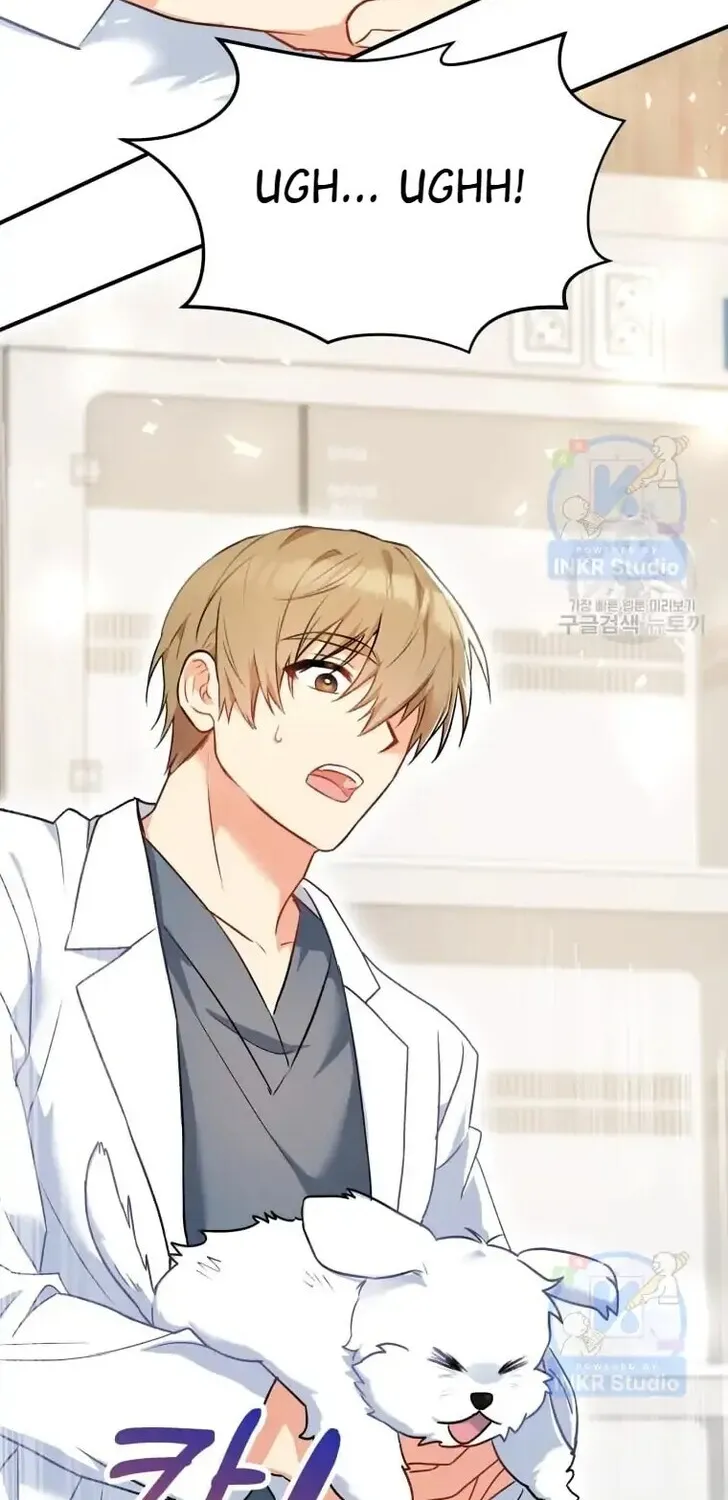 Read Hello, Mr. Veterinarian! chapter 1 image 91 on Lezhin