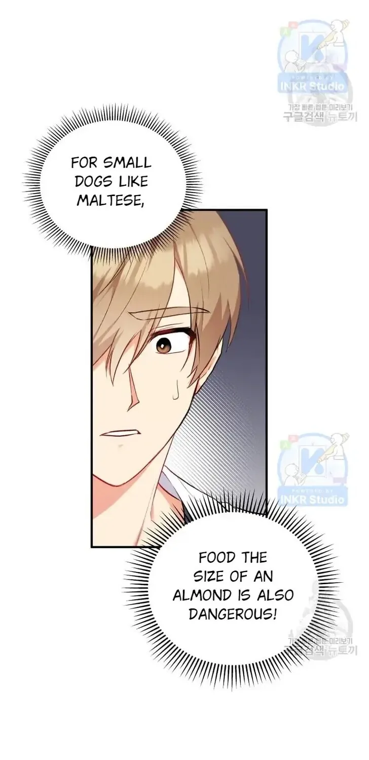 Read Hello, Mr. Veterinarian! chapter 1 image 95 on Lezhin