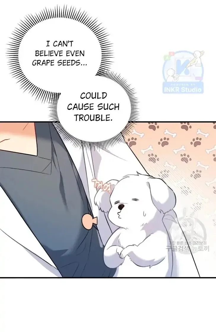 Read Hello, Mr. Veterinarian! chapter 1 image 96 on Lezhin