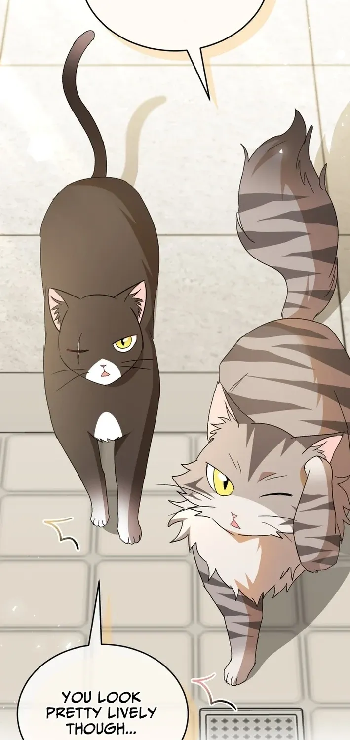 Read Hello, Mr. Veterinarian! chapter 100 image 34 on Lezhin