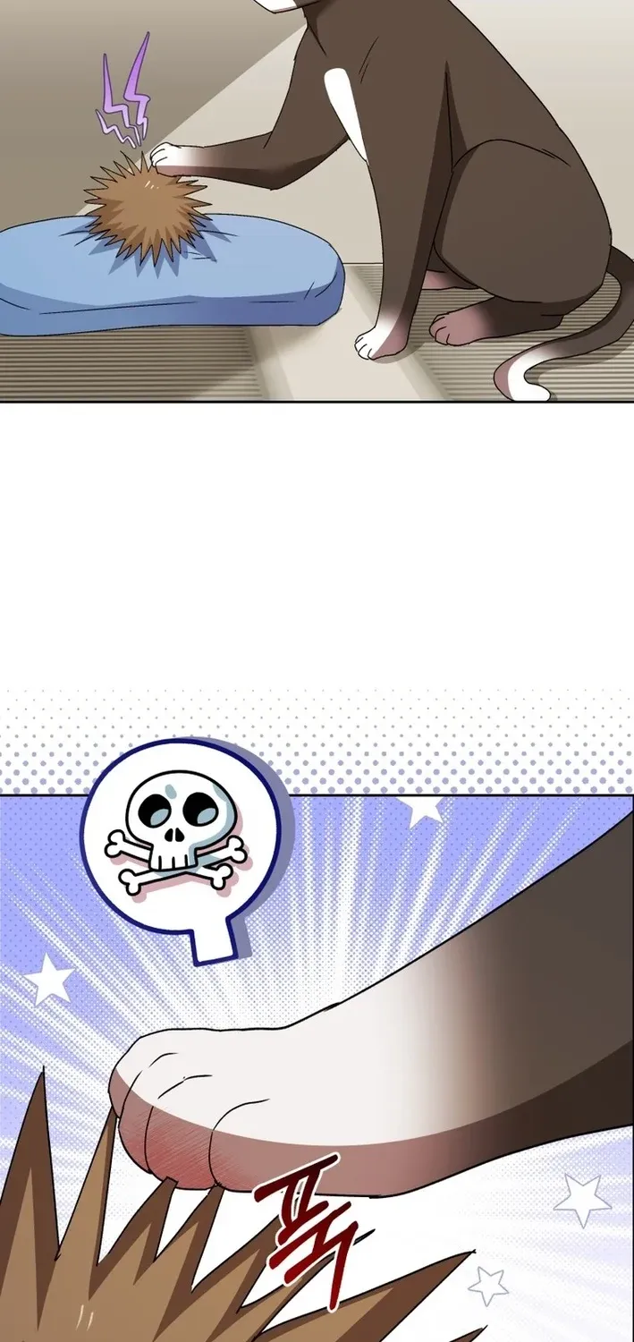 Read Hello, Mr. Veterinarian! chapter 100 image 44 on Lezhin