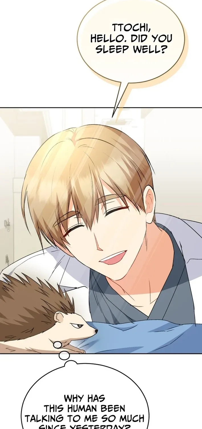 Read Hello, Mr. Veterinarian! chapter 100 image 6 on Lezhin