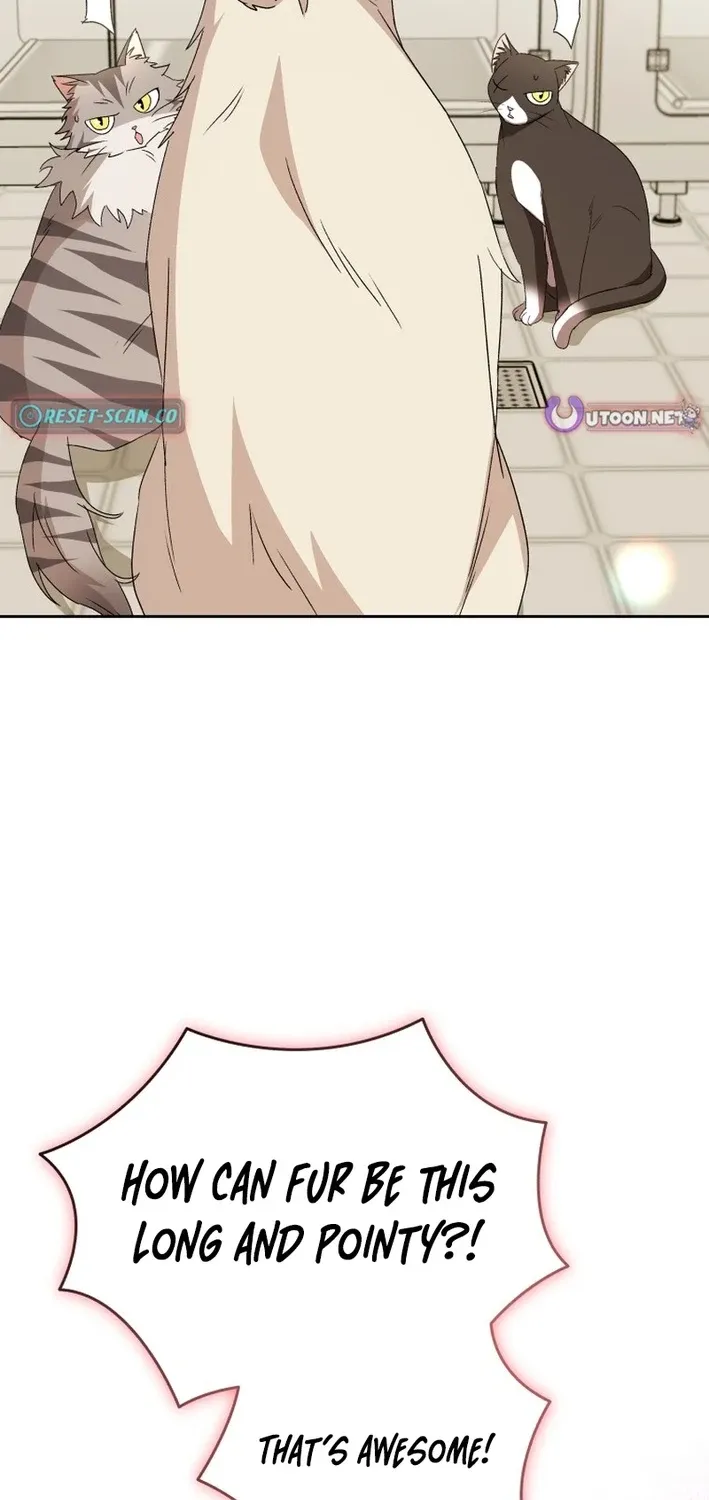 Read Hello, Mr. Veterinarian! chapter 100 image 69 on Lezhin