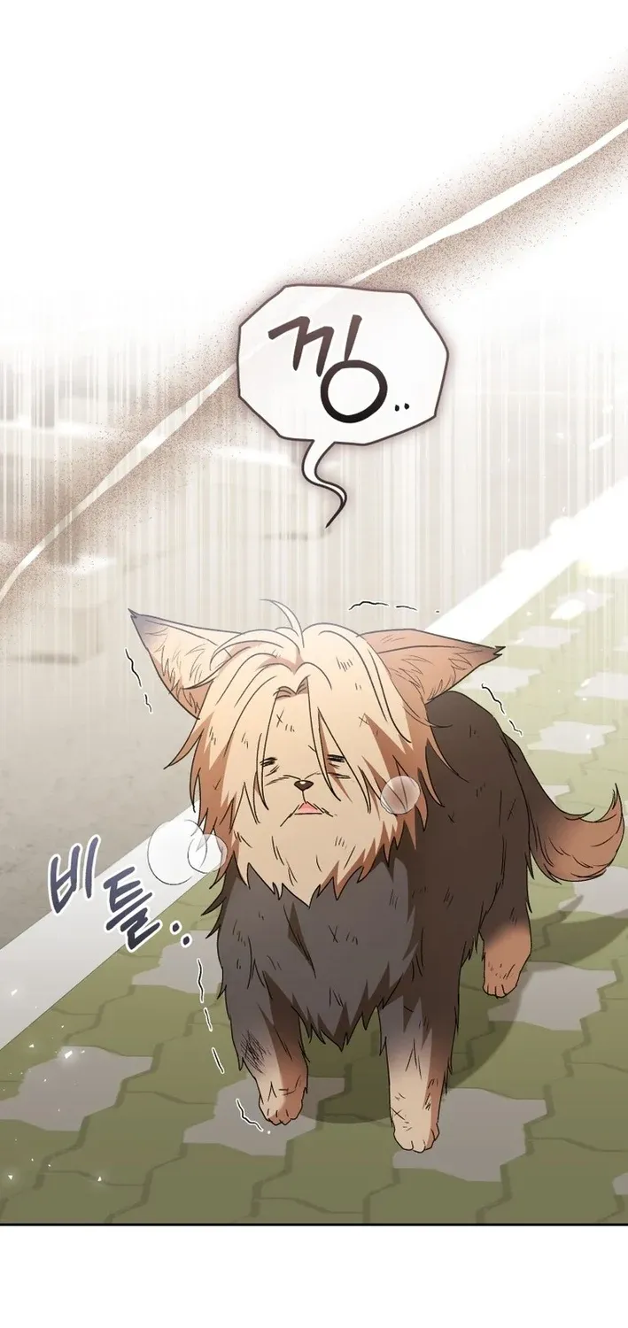 Read Hello, Mr. Veterinarian! chapter 101 image 16 on Lezhin