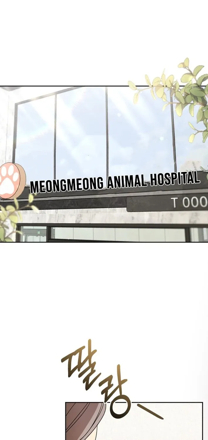 Read Hello, Mr. Veterinarian! chapter 101 image 26 on Lezhin