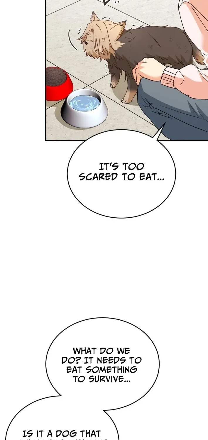 Read Hello, Mr. Veterinarian! chapter 101 image 33 on Lezhin