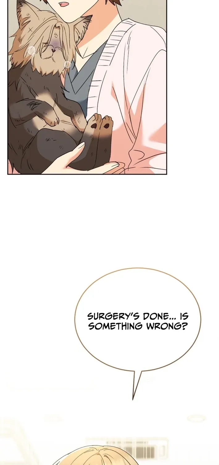 Read Hello, Mr. Veterinarian! chapter 101 image 37 on Lezhin