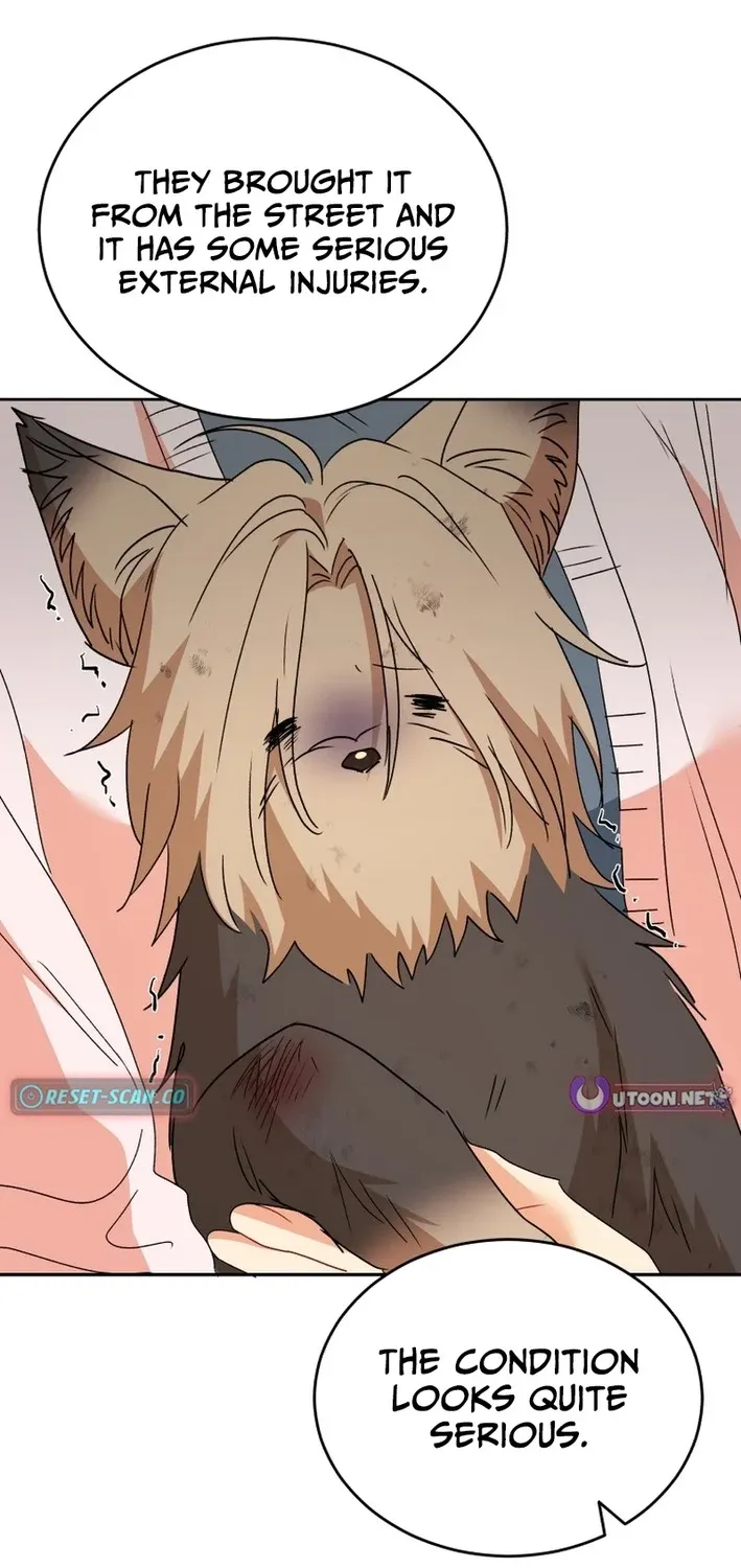 Read Hello, Mr. Veterinarian! chapter 101 image 41 on Lezhin