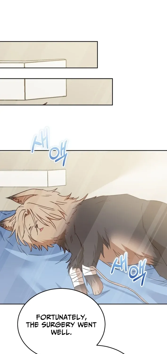 Read Hello, Mr. Veterinarian! chapter 101 image 45 on Lezhin