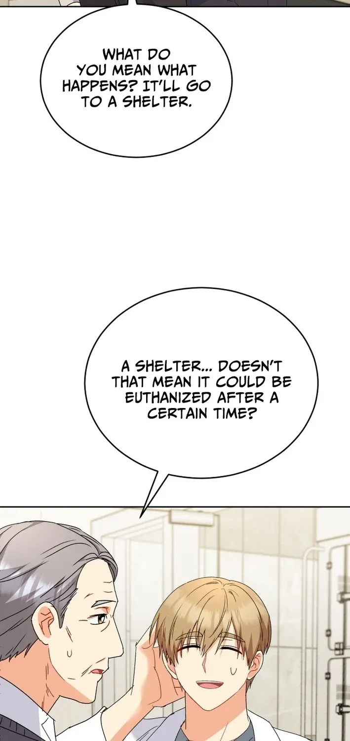 Read Hello, Mr. Veterinarian! chapter 101 image 57 on Lezhin