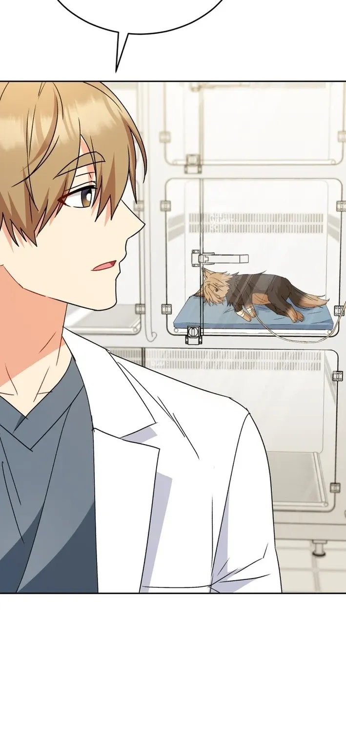 Read Hello, Mr. Veterinarian! chapter 101 image 60 on Lezhin