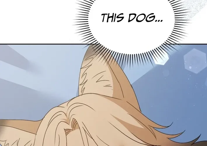 Read Hello, Mr. Veterinarian! chapter 101 image 63 on Lezhin