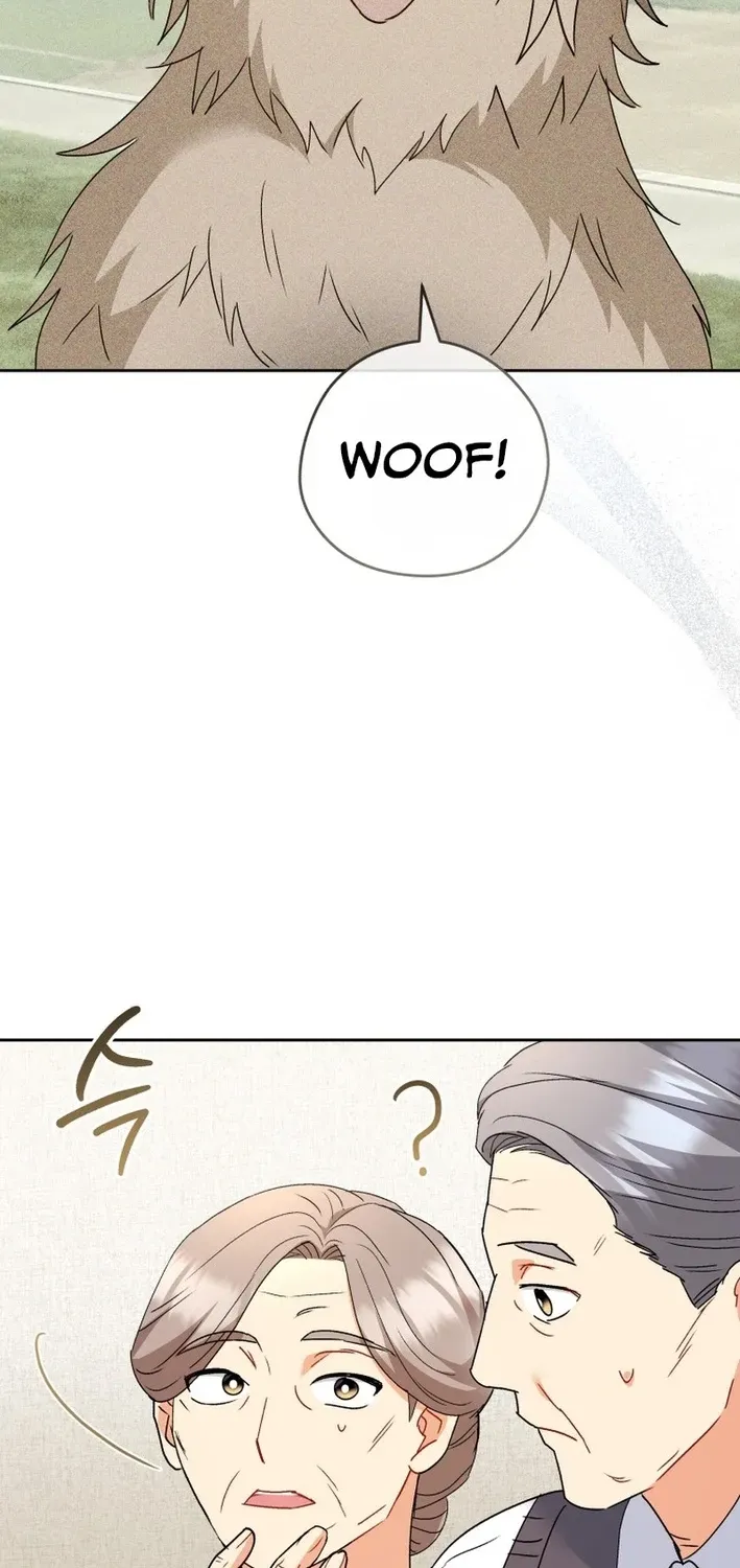 Read Hello, Mr. Veterinarian! chapter 101 image 65 on Lezhin