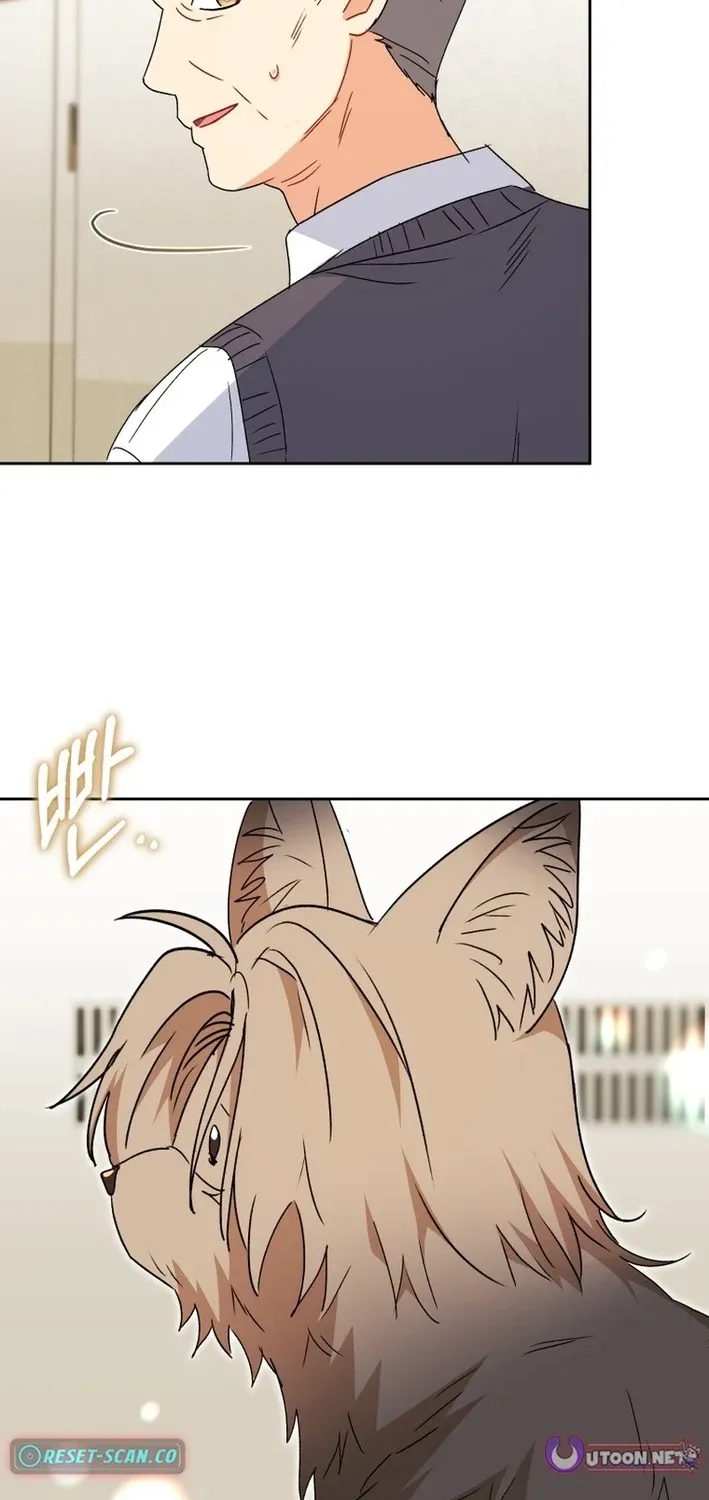 Read Hello, Mr. Veterinarian! chapter 101 image 69 on Lezhin