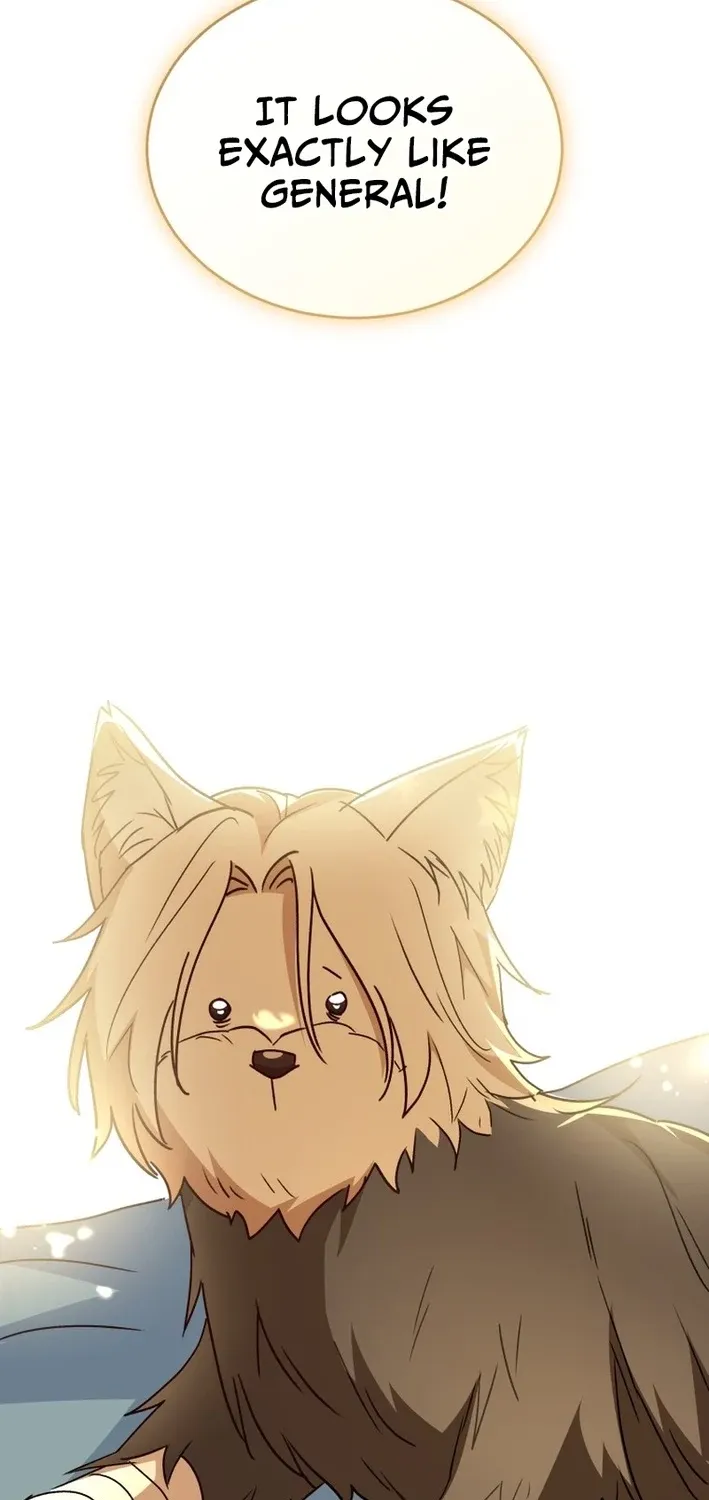 Read Hello, Mr. Veterinarian! chapter 101 image 82 on Lezhin