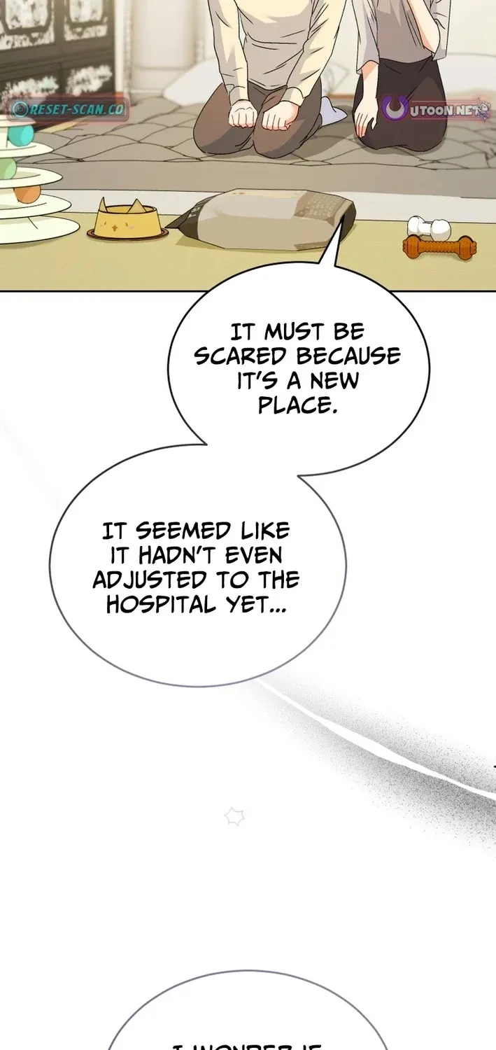Read Hello, Mr. Veterinarian! chapter 102 image 104 on Lezhin
