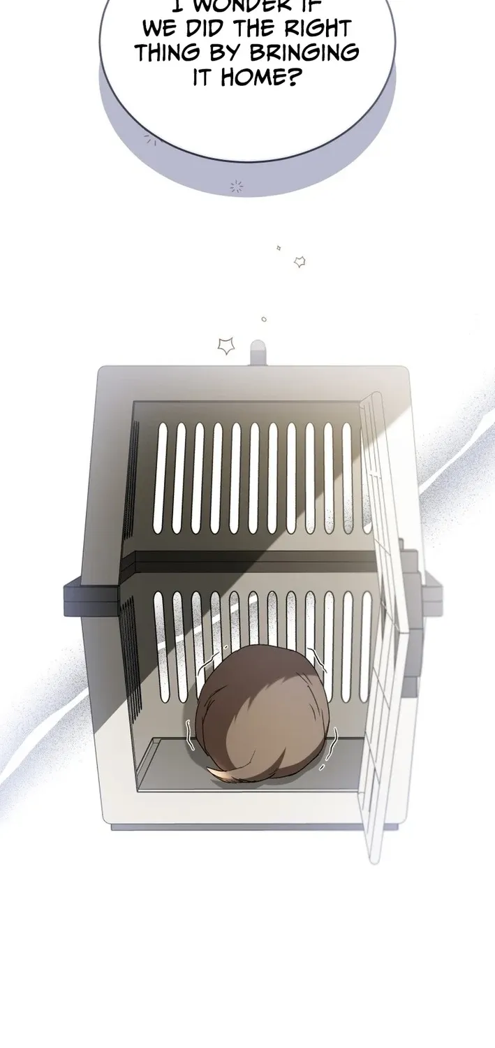 Read Hello, Mr. Veterinarian! chapter 102 image 105 on Lezhin