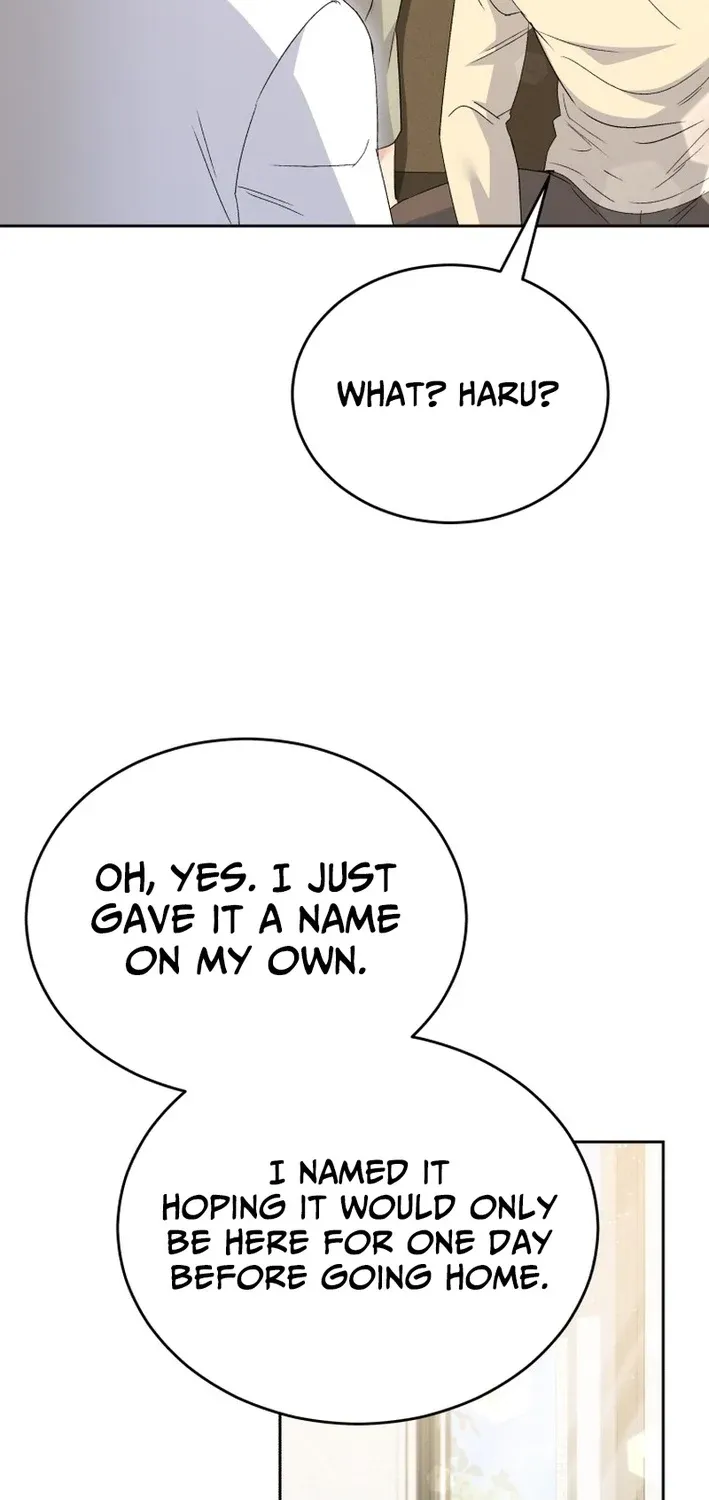 Read Hello, Mr. Veterinarian! chapter 102 image 62 on Lezhin