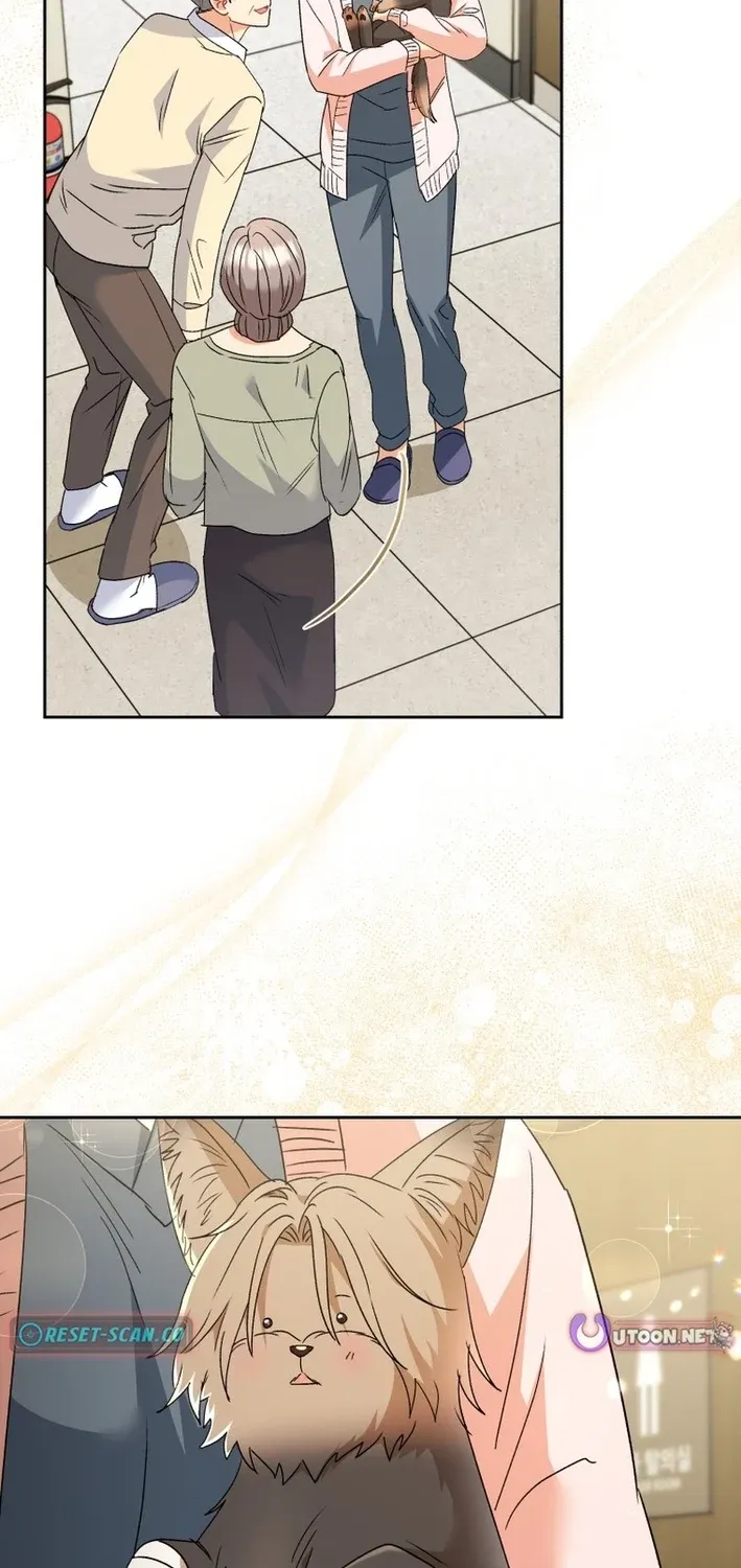 Read Hello, Mr. Veterinarian! chapter 102 image 66 on Lezhin