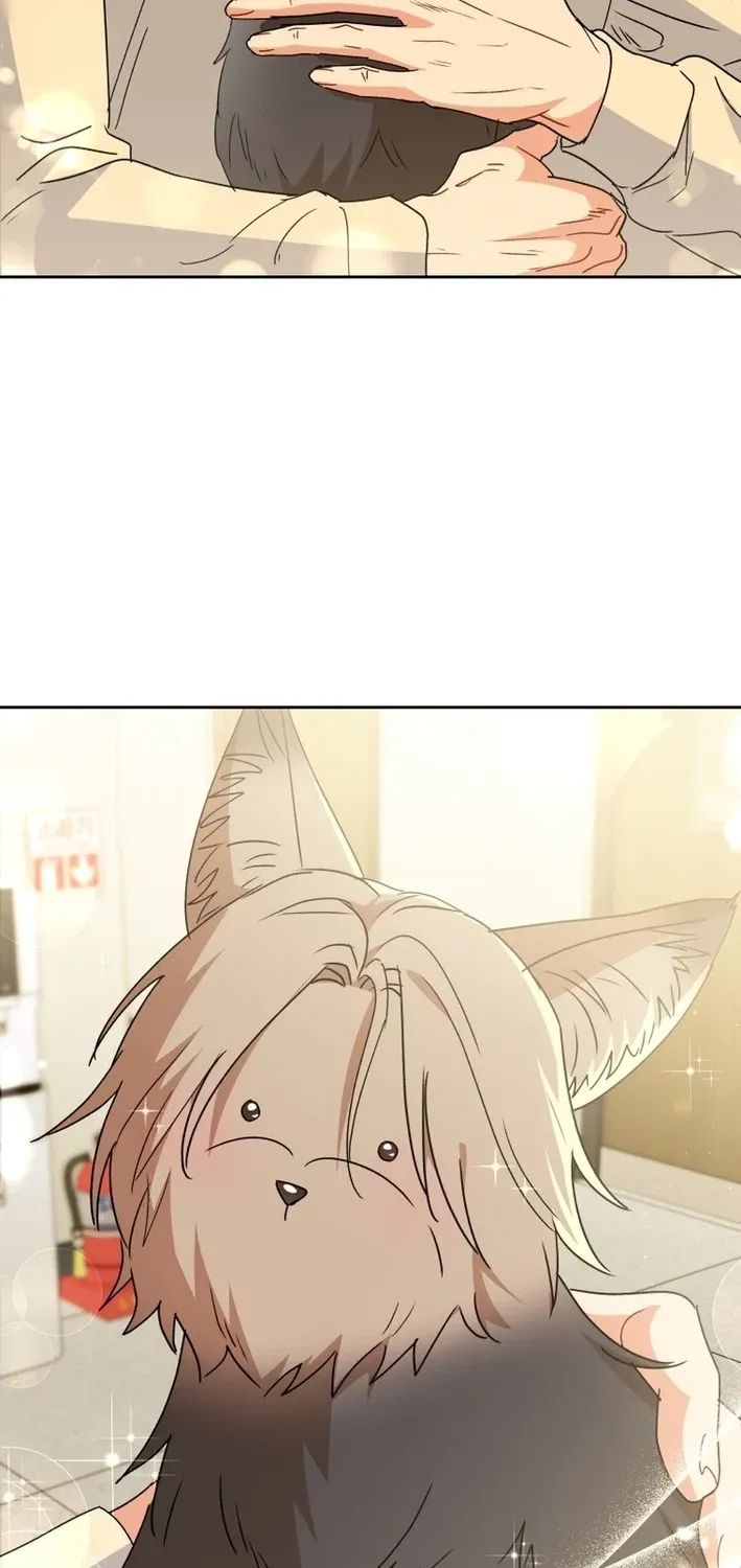 Read Hello, Mr. Veterinarian! chapter 102 image 73 on Lezhin