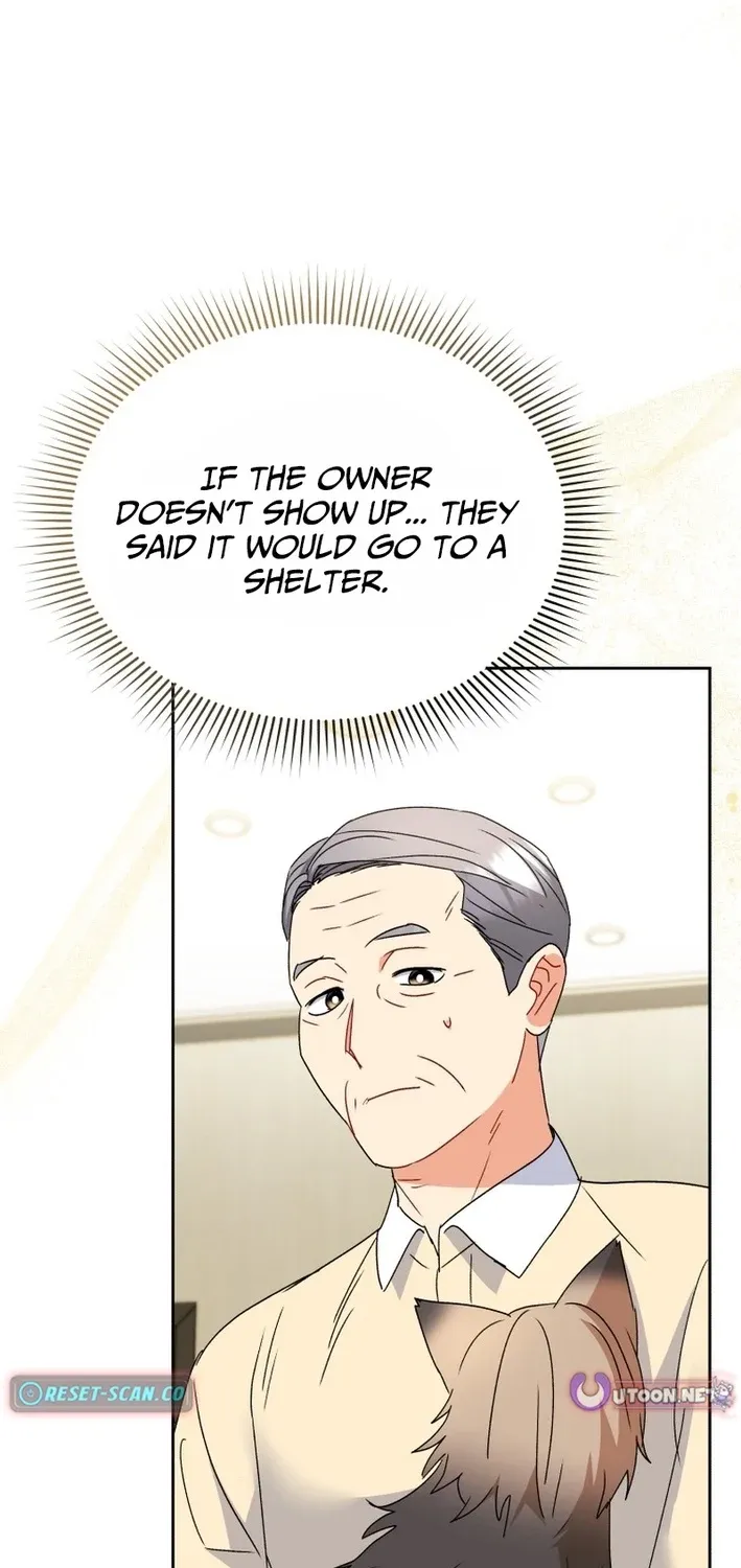 Read Hello, Mr. Veterinarian! chapter 102 image 80 on Lezhin