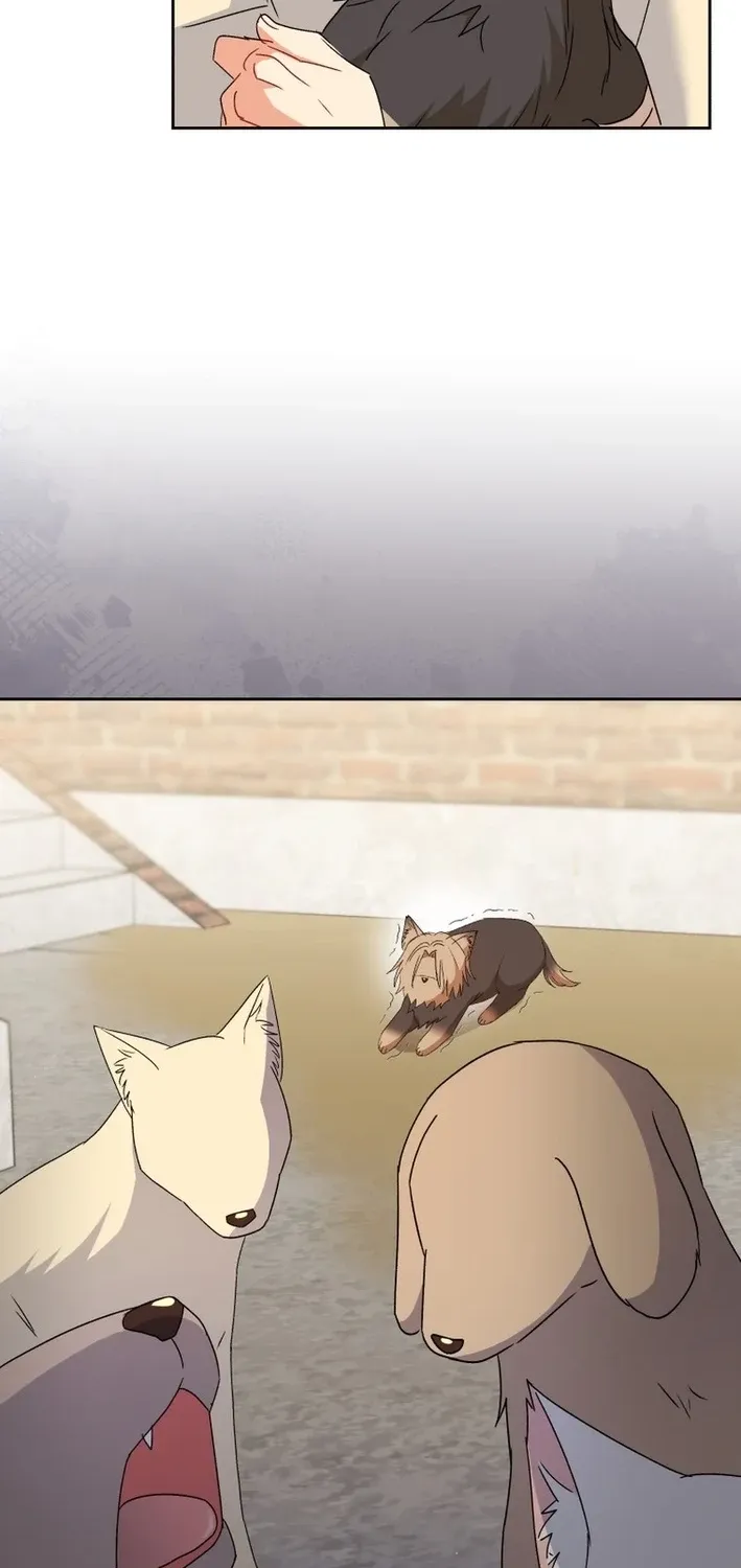 Read Hello, Mr. Veterinarian! chapter 102 image 81 on Lezhin