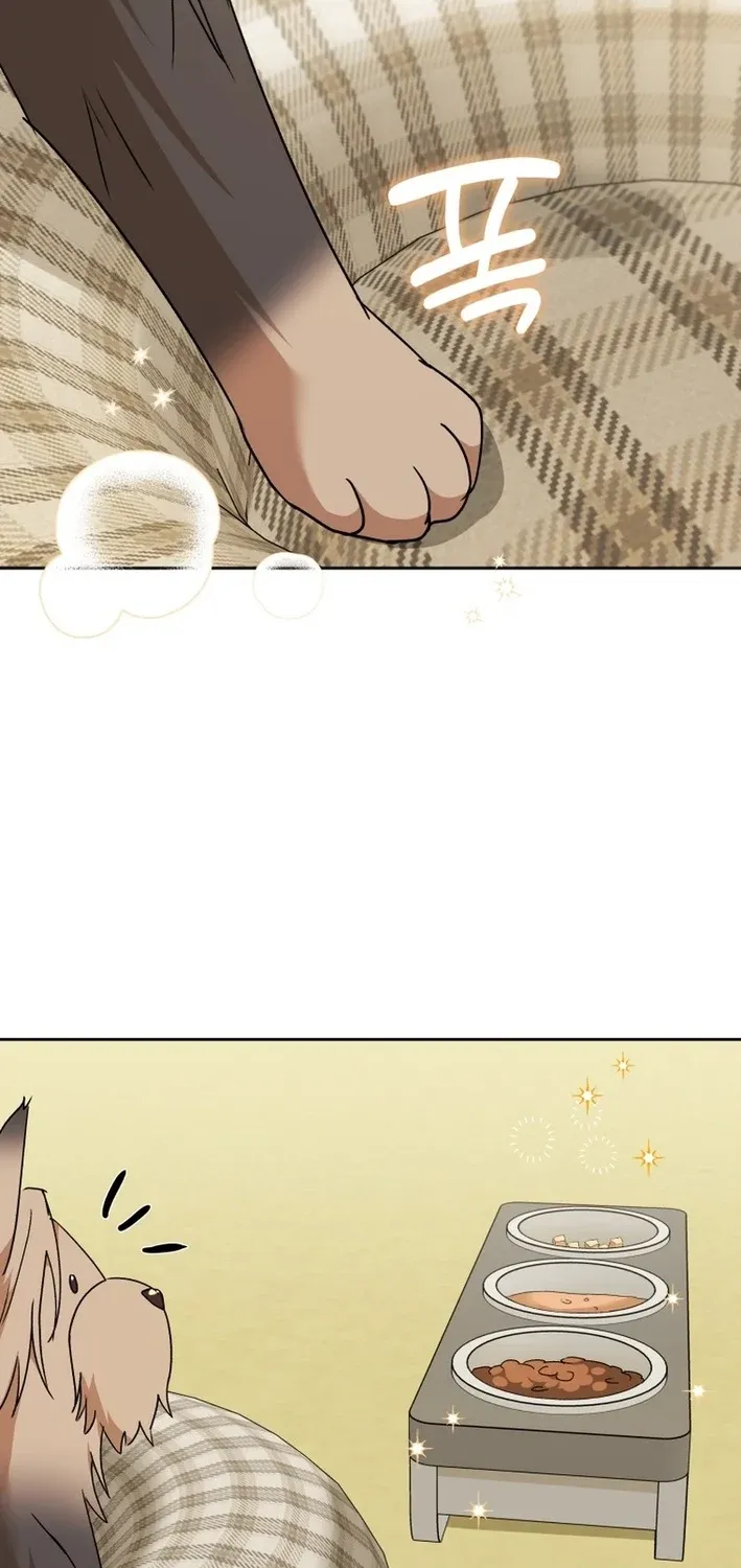 Read Hello, Mr. Veterinarian! chapter 103 image 20 on Lezhin