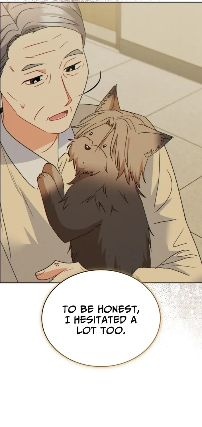 Read Hello, Mr. Veterinarian! chapter 103 image 33 on Lezhin