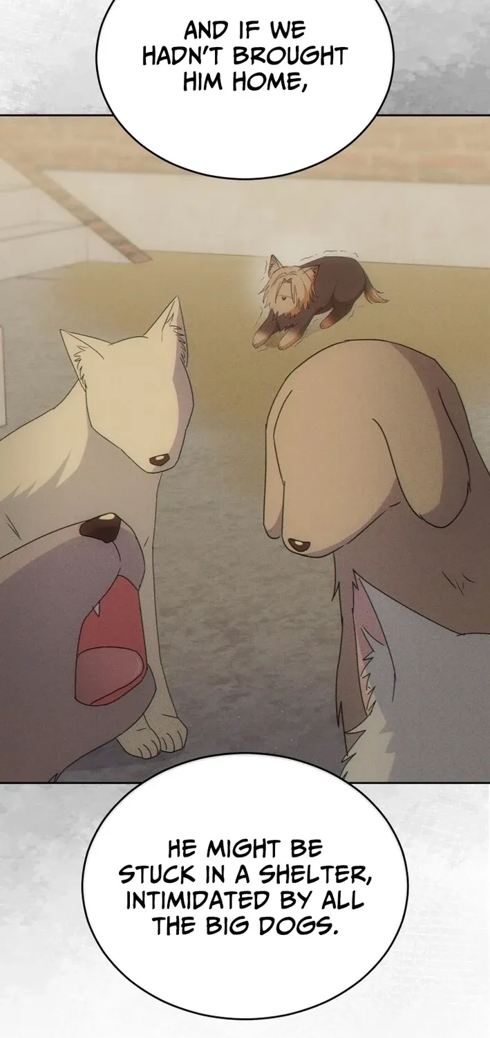 Read Hello, Mr. Veterinarian! chapter 103 image 4 on Lezhin