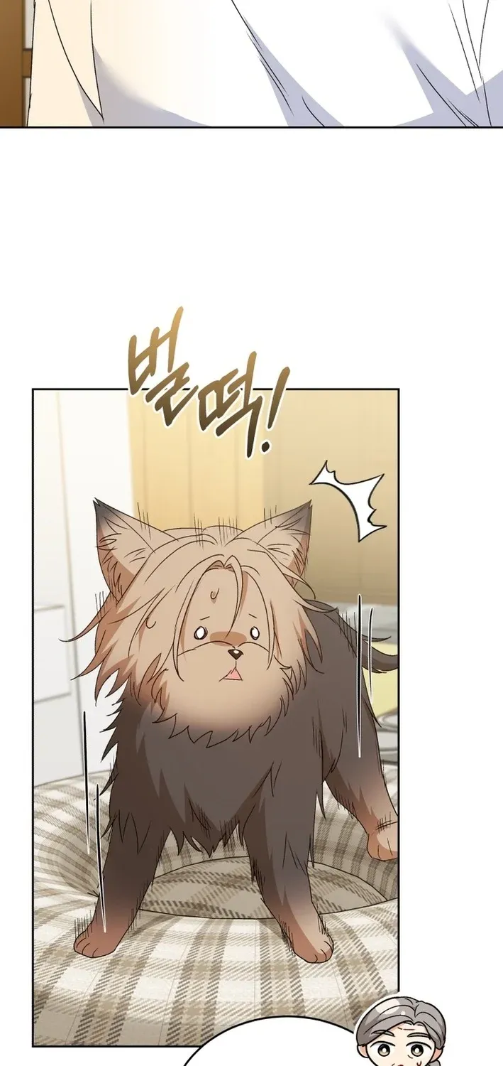 Read Hello, Mr. Veterinarian! chapter 103 image 56 on Lezhin