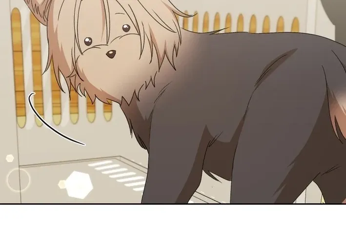 Read Hello, Mr. Veterinarian! chapter 103 image 59 on Lezhin