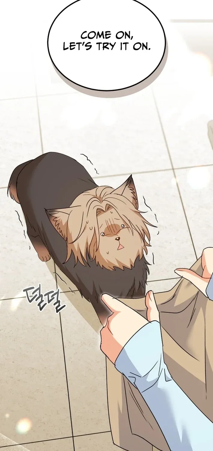 Read Hello, Mr. Veterinarian! chapter 104 image 14 on Lezhin